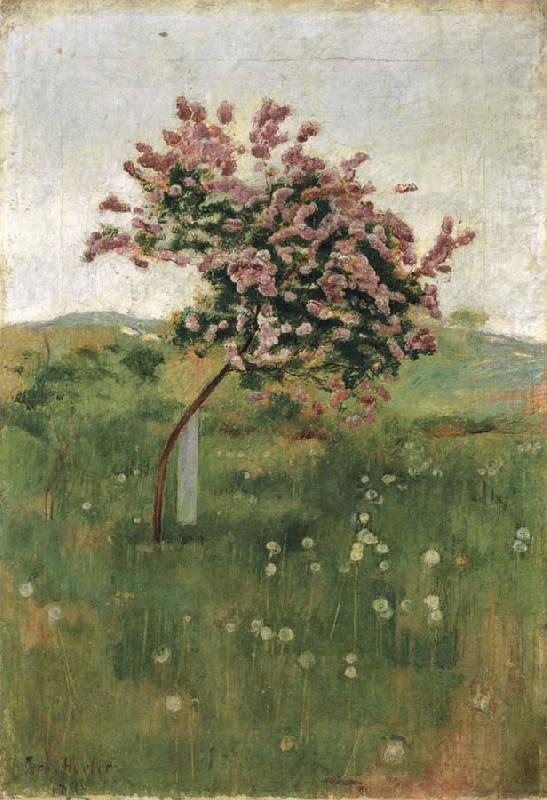 THe Lilac, Ferdinand Hodler